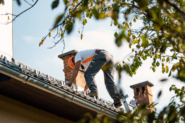 Fast & Reliable Emergency Roof Repairs in Taylor, AL